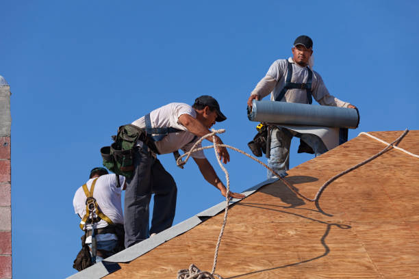 Best Roof Gutter Cleaning  in Winter Beach, FL